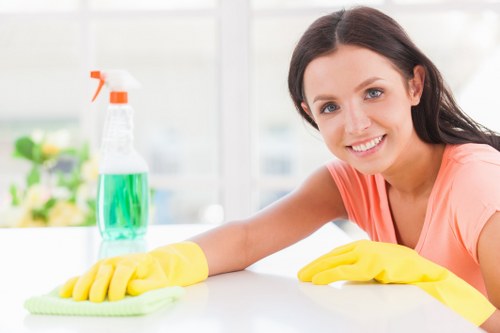 Professional pet stain and odour removal treatment for carpet in Brent home