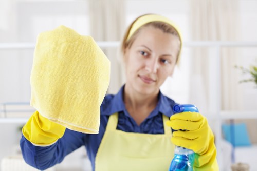Secure online payment interface for Cleaners Brent