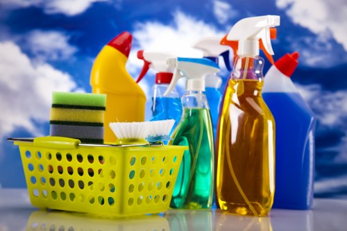 Cleaner treating hallway carpets in a Brent flat