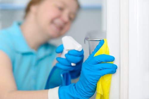 Professional sofa cleaning service for Brent homes and flats