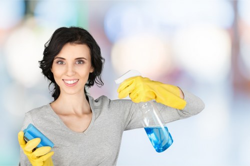 About Us Cleaners Brent focusing on detailed local cleaning service