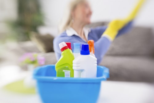 Protected checkout screen for Cleaners Brent cleaning payments