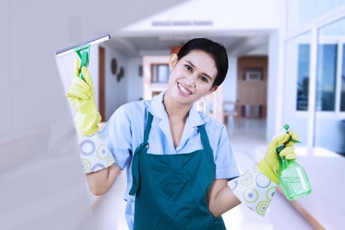 Weekly cleaning routine for a family house in Brent